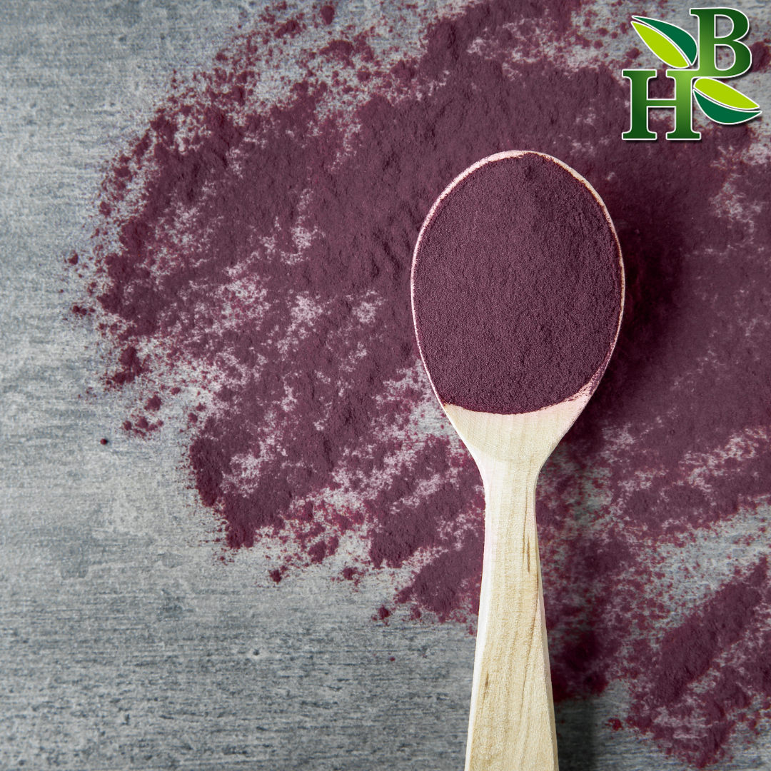 Elderberry Powder 4oz