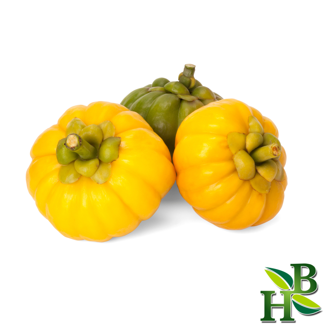 Garcinia Cambogia Extract 4:1