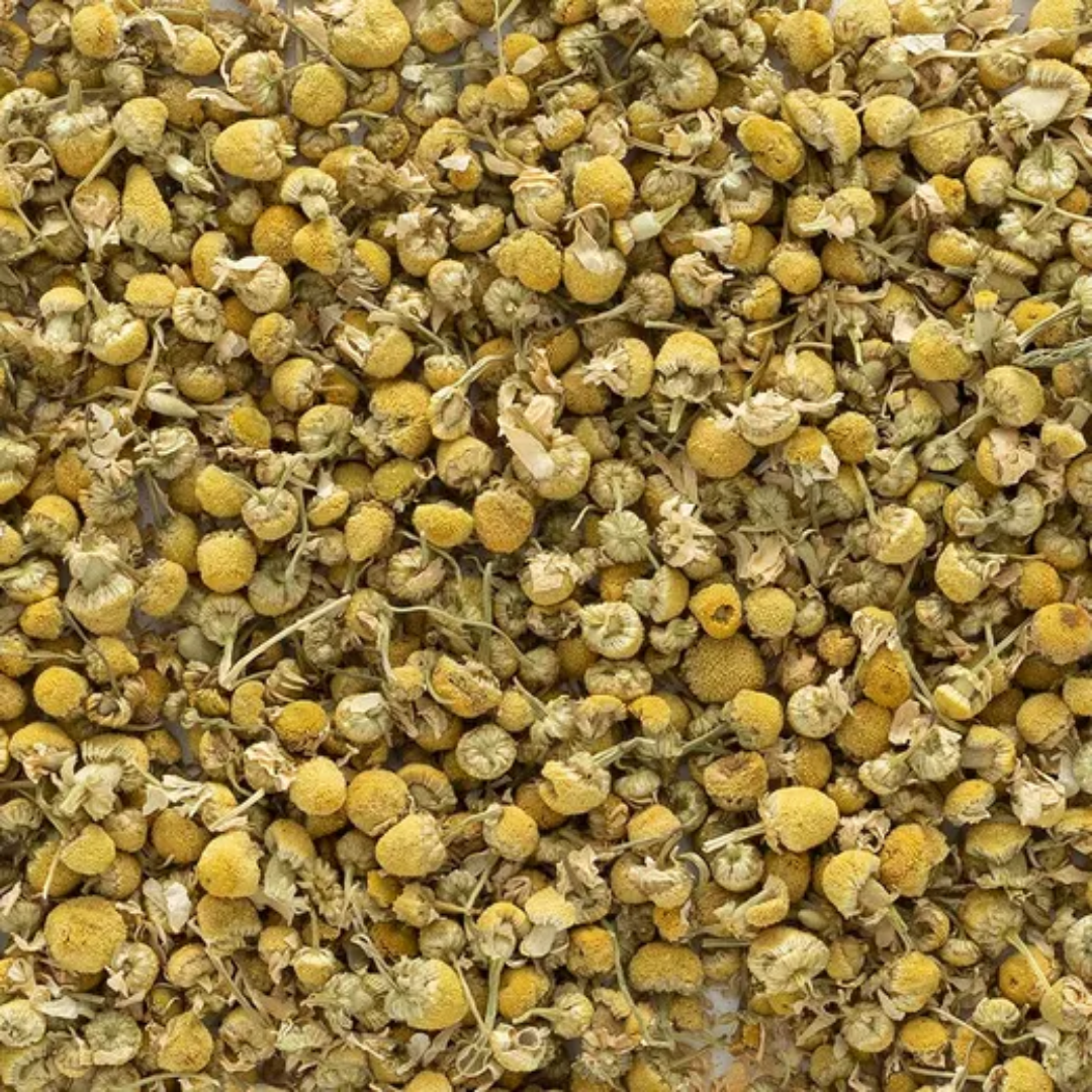 Chamomile Flower Whole
